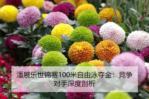 潘展乐世锦赛100米自由泳夺金：竞争对手深度剖析
