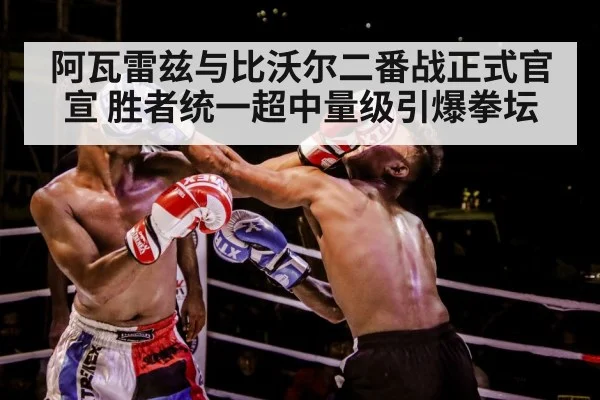 boxer training gloves